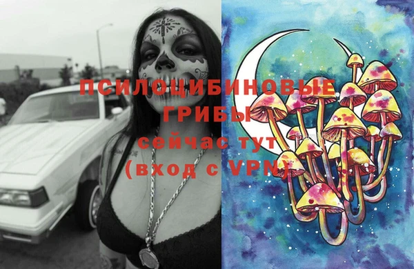 2c-b Аркадак