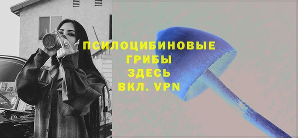 мескалин Арсеньев