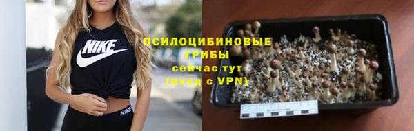 2c-b Аркадак