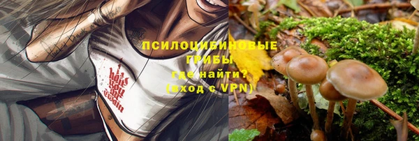 гидропоника Армянск