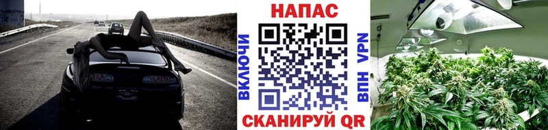 закладка  Белозерск  Канабис AK-47 
